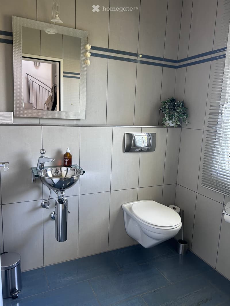 small bathroom with white toilet, silver sink, mirror, blue tiles, silver trash can