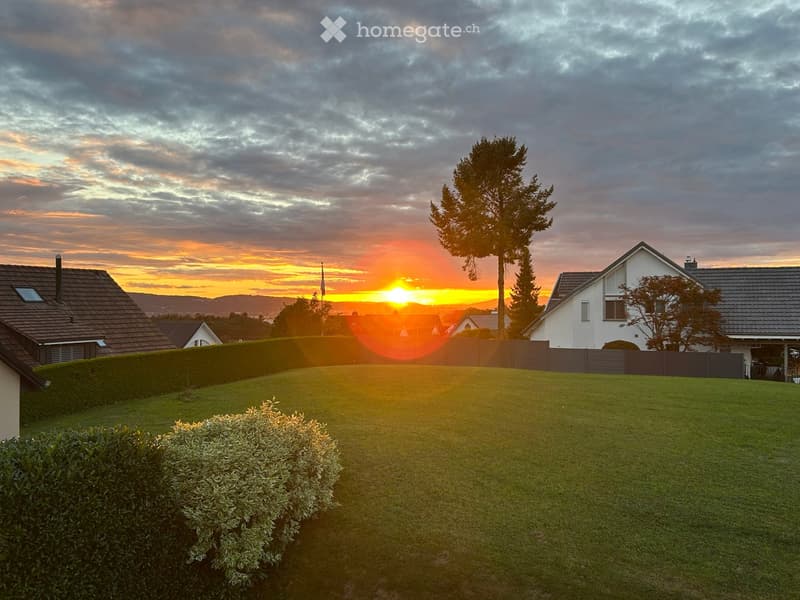 large green lawn, hedges, tree, sunset, mountains in the distance