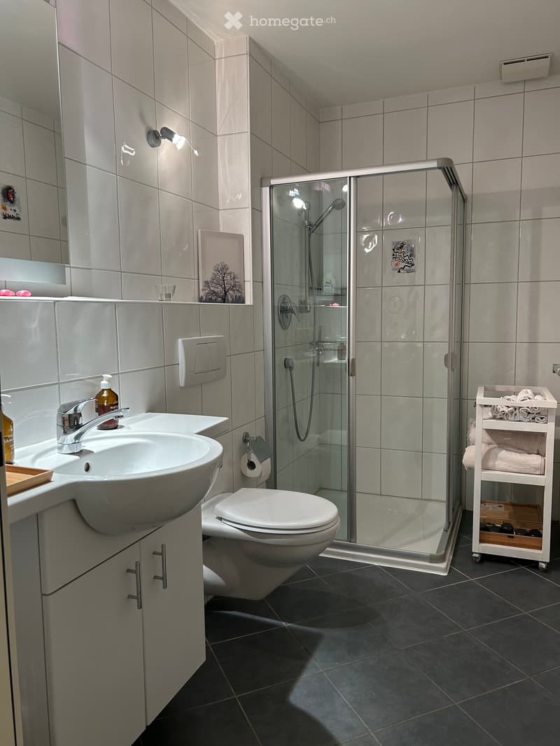 modern bathroom with white tiles, glass shower, white sink, white toilet, white cabinets, white shelves