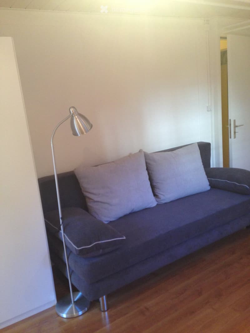 sofa with cushions, wooden floor, standing lamp