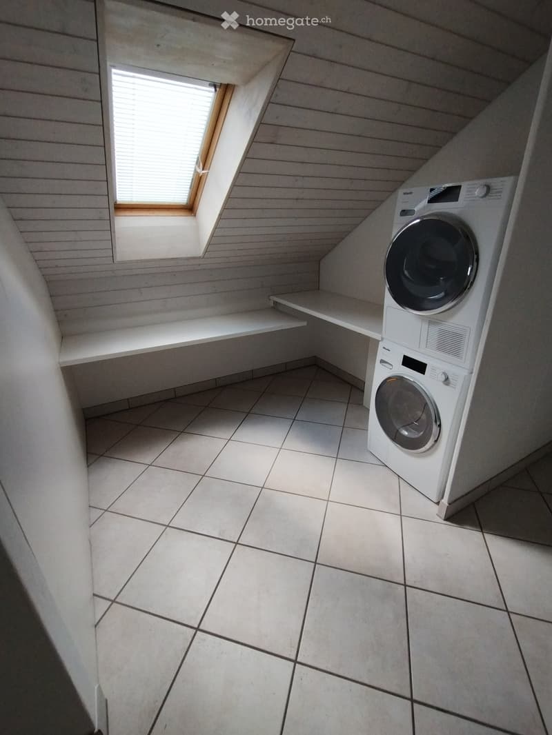 Small, well-lit room with a washing machine, built-in shelf, and skylight window.