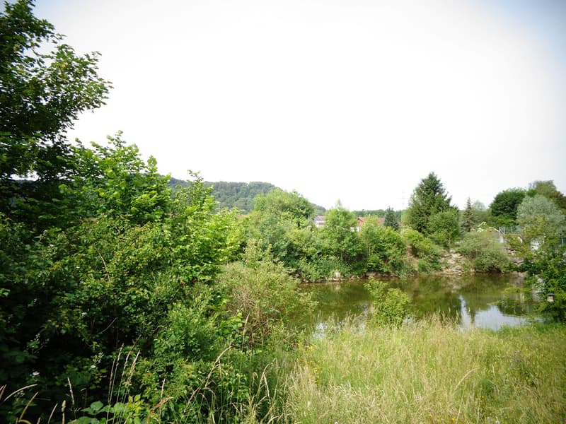 A serene outdoor area featuring a calm river surrounded by lush greenery, trees, and bushes, with a grassy foreground and distant hills.