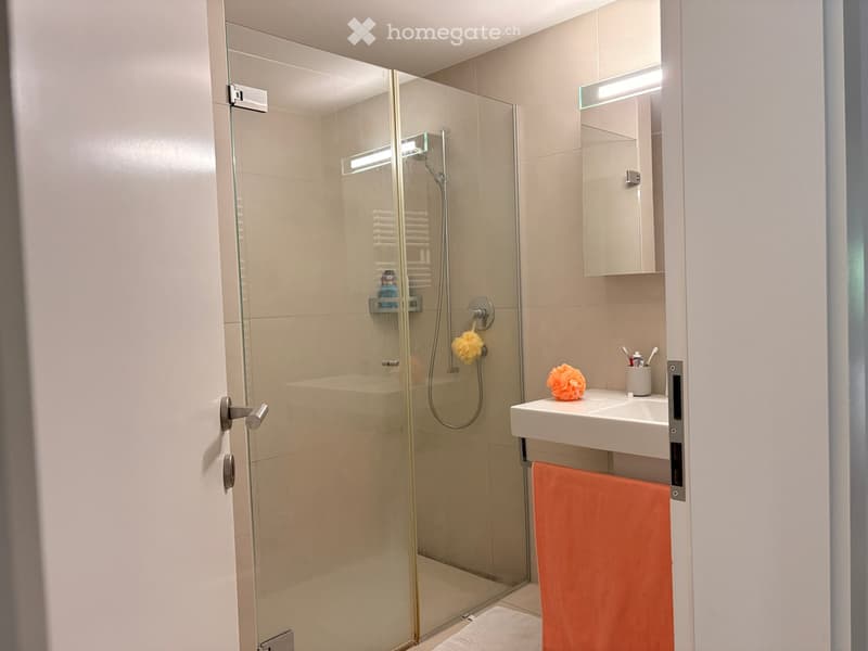 Modern bathroom with a glass-enclosed shower, a white sink with a mirror, and a towel on the rack.