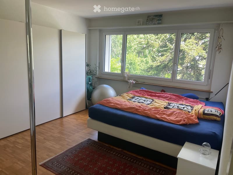 A modern bedroom with a large window, wooden floor, and a bed with a colorful duvet and pillows. A nightstand with a glass object is visible, along with a plant and a large exercise ball in the corner.
