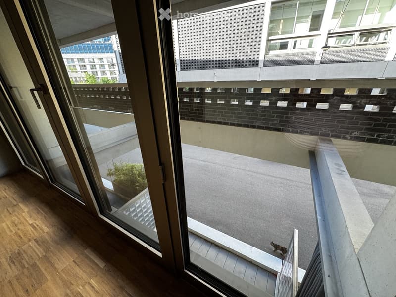 Modern balcony with concrete floor, glass railing, and small potted plant visible through the sliding glass door.