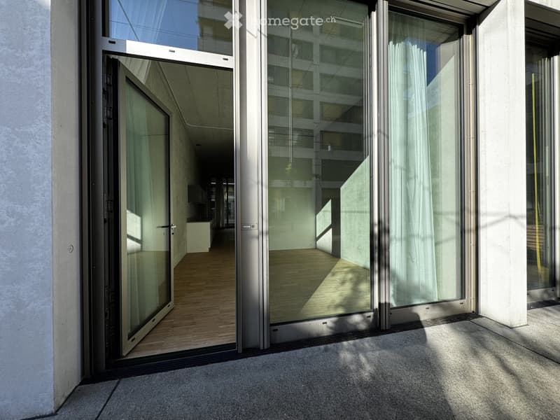 Modern hallway with large glass doors leading to an interior space, featuring wooden flooring and white walls.