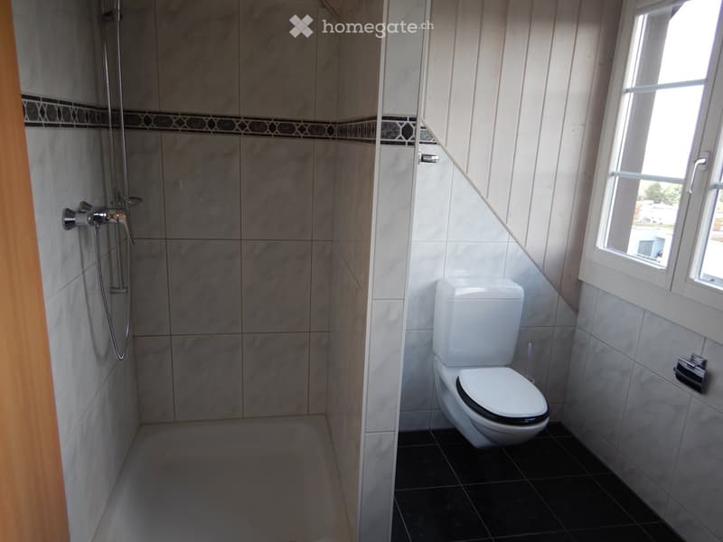 Modern bathroom with white tiled walls, black tiled floor, toilet, and shower area with a glass enclosure.