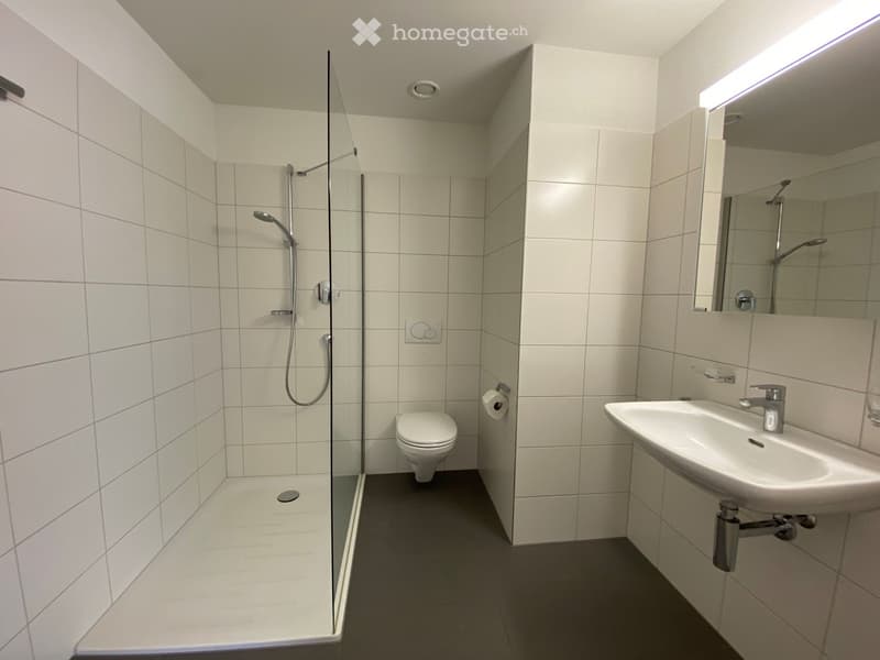 Modern bathroom with white tiled walls, a glass-enclosed shower, a toilet, a sink with a mirror, and a built-in light fixture above the mirror.