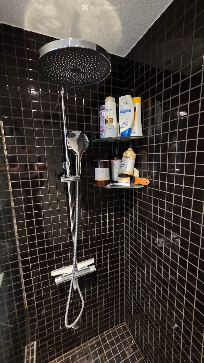 Modern shower area with black tiled walls and floor, featuring a handheld showerhead, a fixed showerhead, and two glass shelves holding various toiletries.