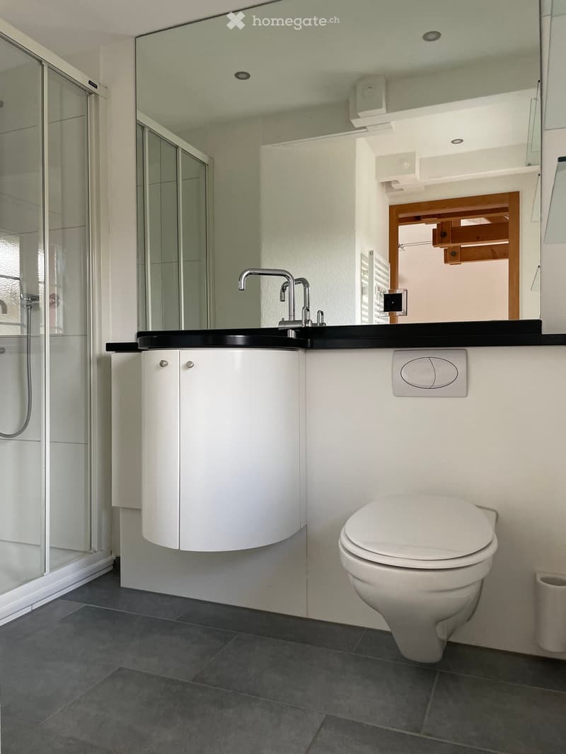 Modern bathroom with white cabinetry, black countertop, chrome faucet, toilet, and glass-enclosed shower area.
