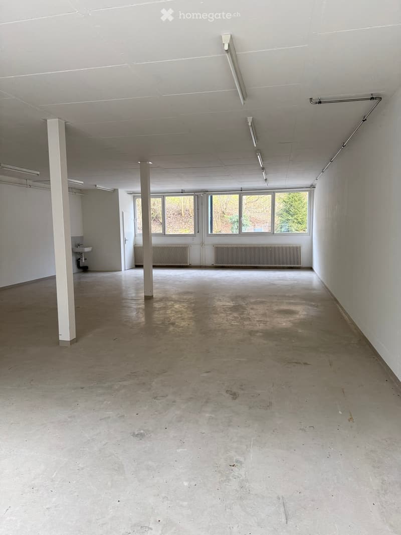Empty room with concrete floor, white walls, and large windows. Features include a sink, radiator, and fluorescent lighting.