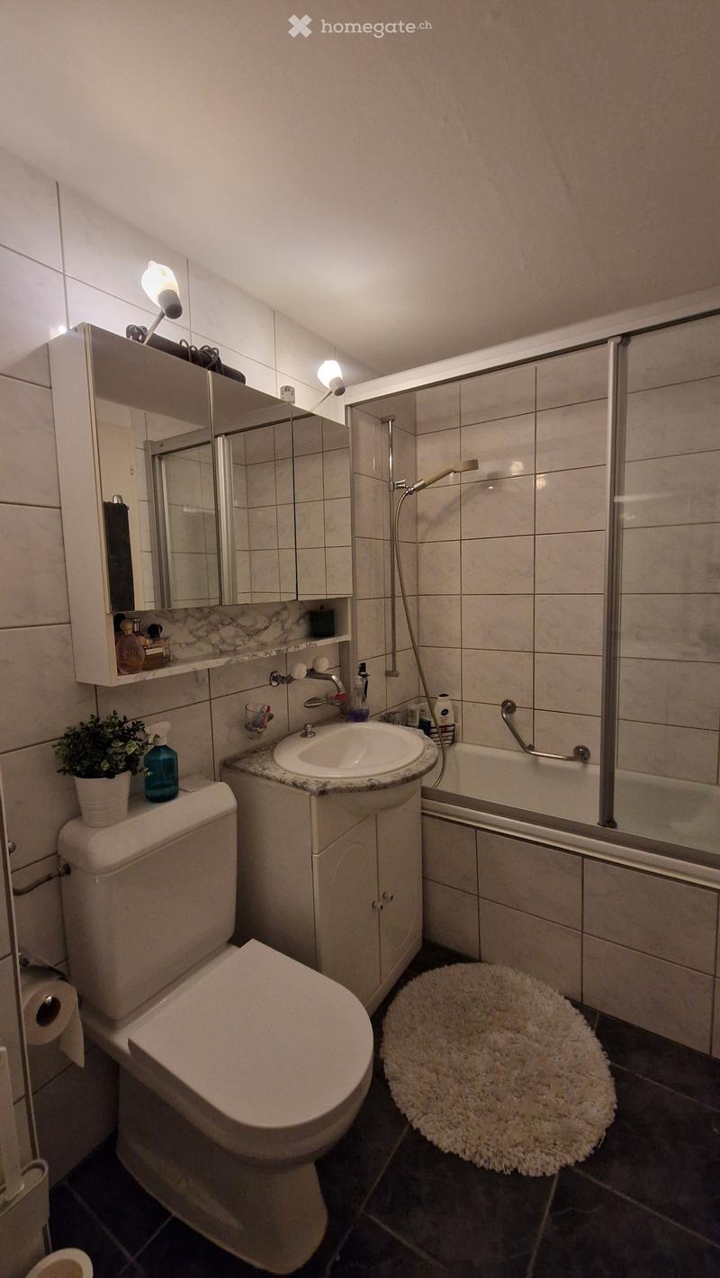 Modern bathroom with white tiles, a toilet, sink, mirror, bathtub, and a small plant on the toilet tank.