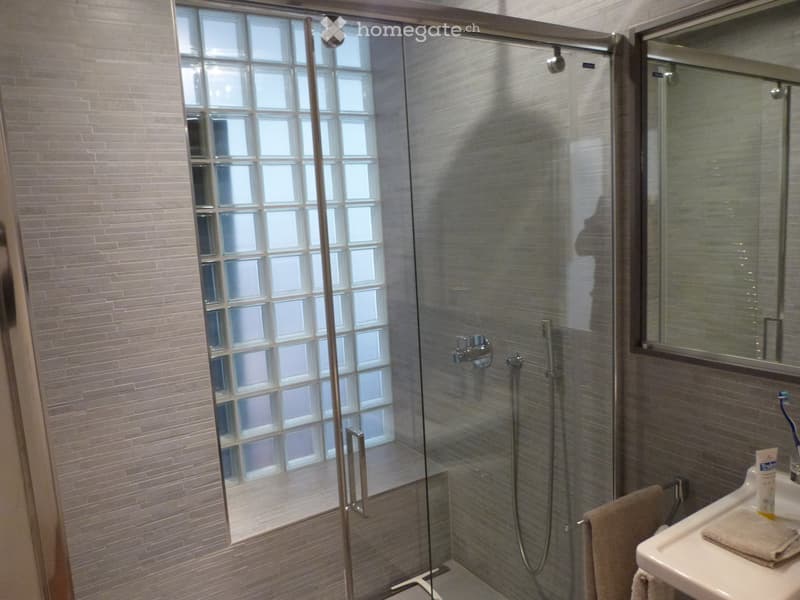 shower stall with glass walls, shower with two heads, tiled walls, sink with towel rack, mirror