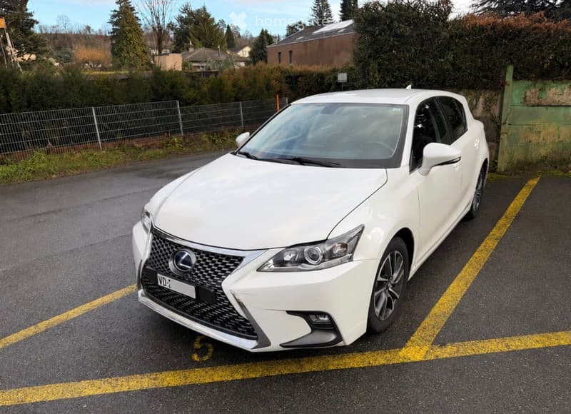 White Lexus car parked in a designated parking space, surrounded by a fence and greenery.