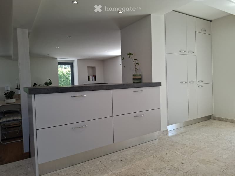 Modern kitchen with white cabinets, grey countertop, and built-in drawers. Features a small plant on the counter and recessed ceiling lighting.