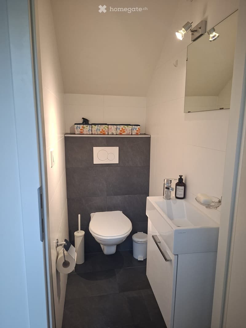 Modern bathroom with dark tiled walls, white toilet, sink, and mirror. Includes a toilet paper holder, soap dispenser, and decorative items on the counter.