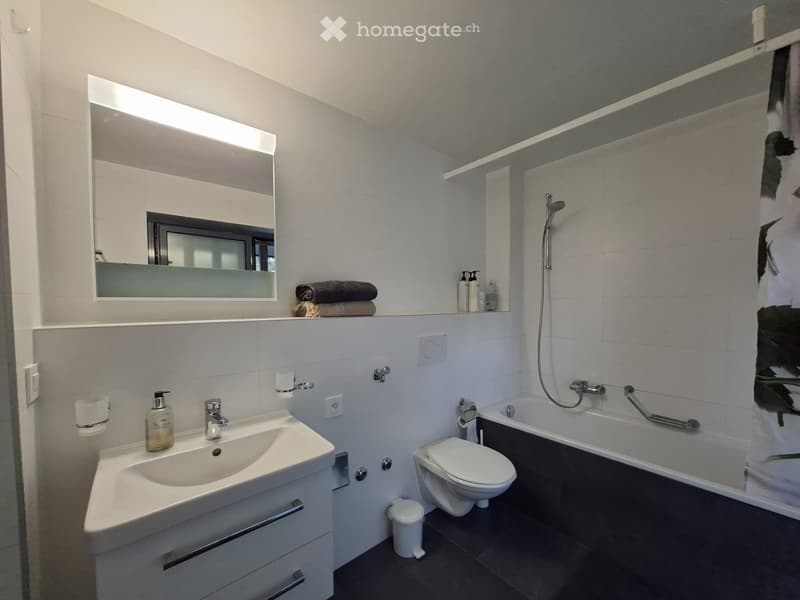 Modern bathroom with a white sink, mirror, toilet, bathtub, and shower. Includes towels, soap dispenser, and a trash bin.