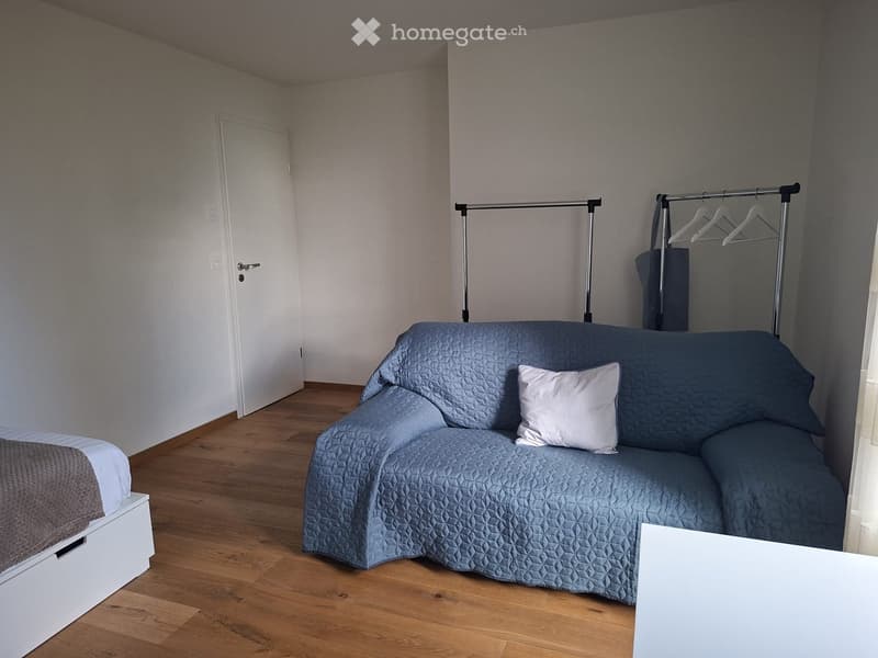 A small, modern living space with a sofa, a bed, and a storage unit. The room features wooden flooring and neutral-colored walls.