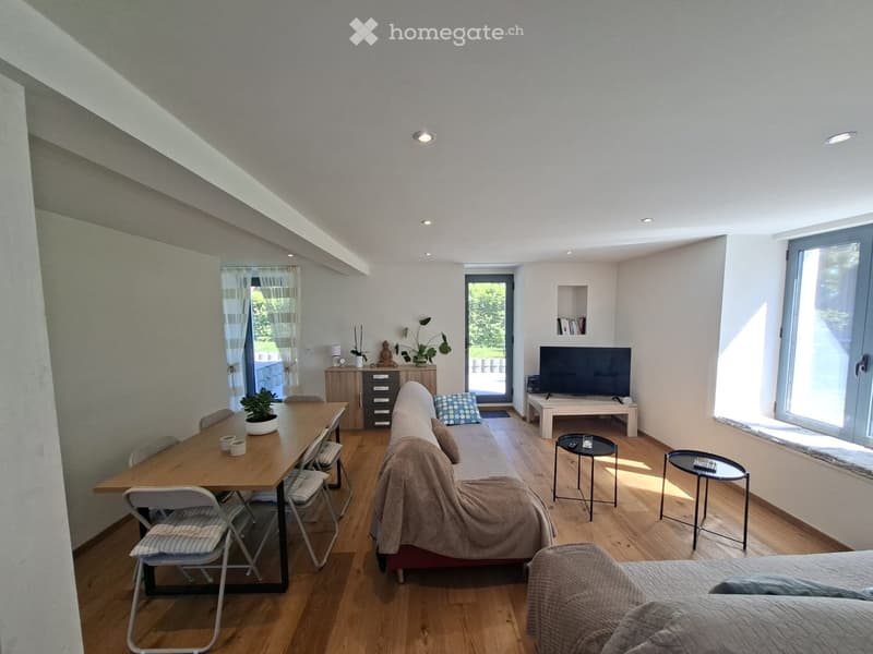 Bright living room with wooden flooring, large windows, a sofa with a blanket, a coffee table, a dining table with chairs, a TV stand, and decorative plants.