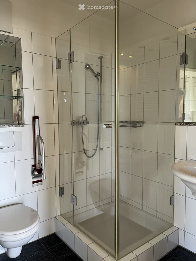 Modern bathroom with white tiled walls, a glass-enclosed shower, a toilet, a sink, and a mirror with a glass shelf.