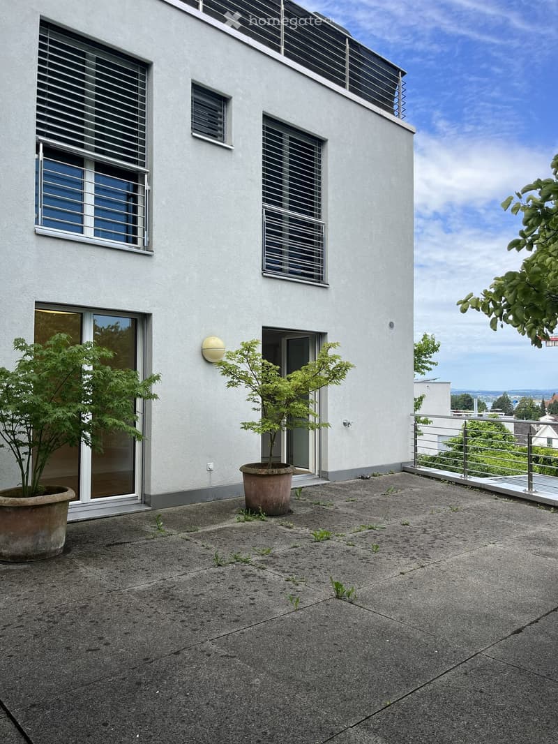 Roof terrace with concrete floor, two large potted plants, metal railing, and windows with blinds on a modern building.