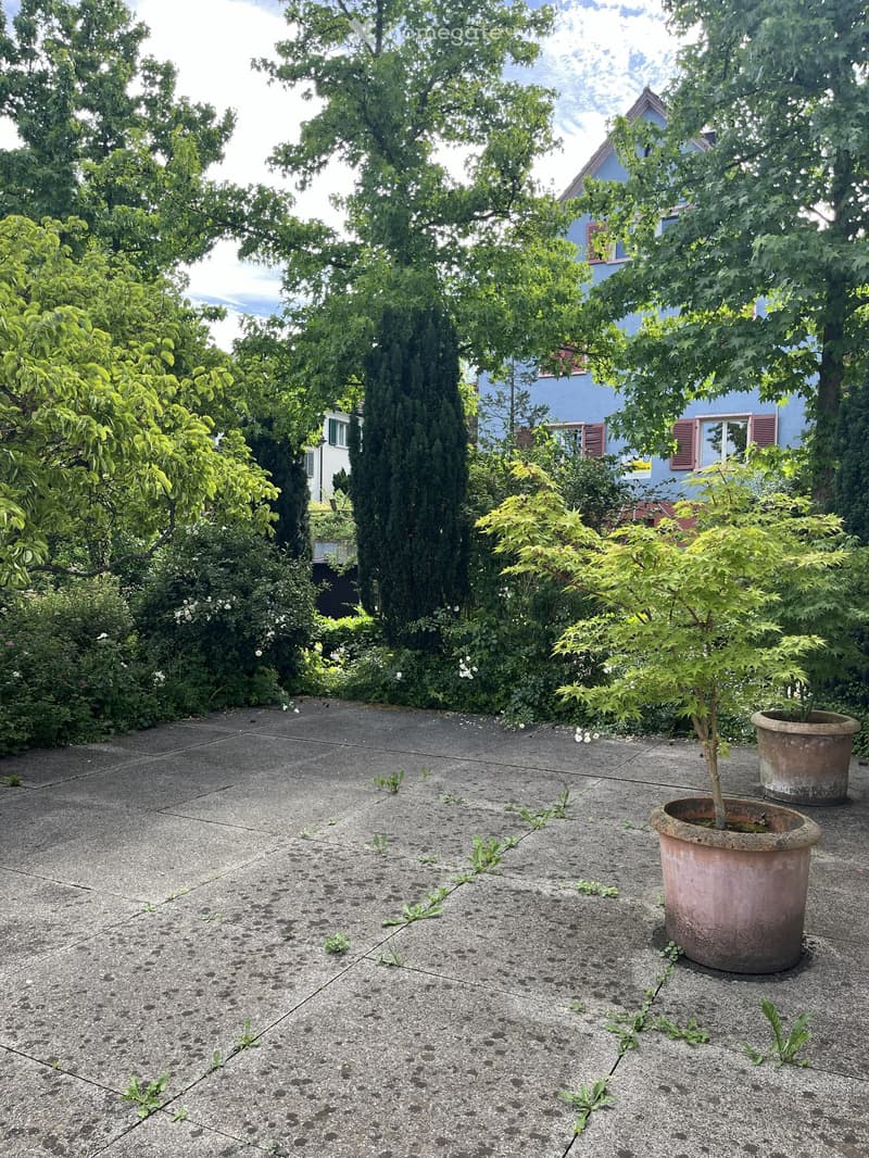 Garden area with a concrete patio, potted plants, and surrounding trees and shrubs.
