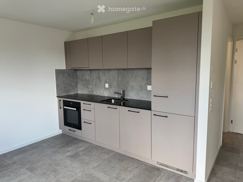 Modern kitchen with grey cabinets, black countertop, stainless steel sink, and built-in oven. Grey tiled backsplash and grey tiled floor.
