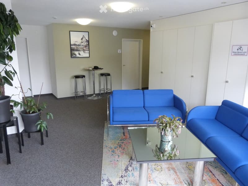 Modern living room with blue sofas, glass coffee table, potted plants, and bar stools.