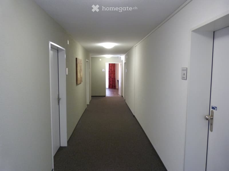 A long, narrow hallway with beige walls, carpeted floor, and several doors on both sides. A small painting is visible on the left wall, and a sign indicating "Garage" is on the right wall.