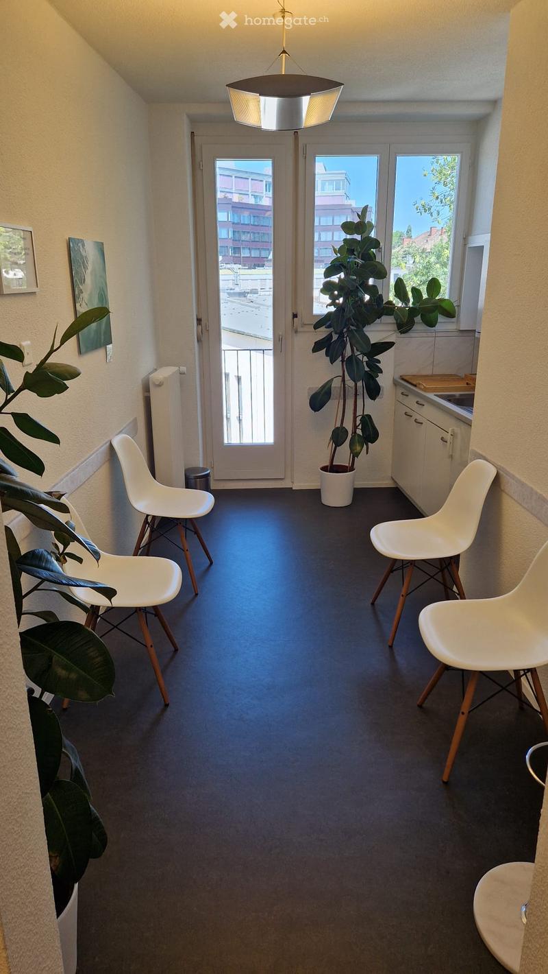 Modern, minimalist hallway with dark flooring, white chairs, potted plants, radiator, and a small kitchen area with a sink and cabinets.