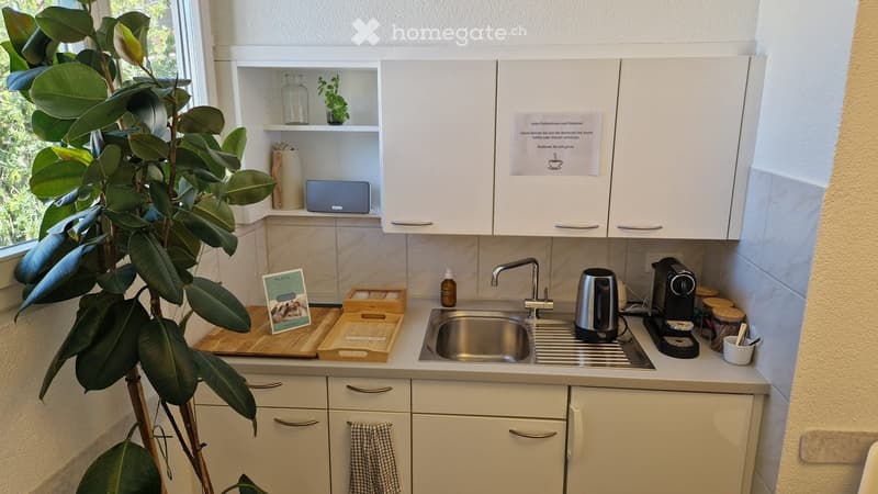 Modern kitchen with white cabinets, stainless steel sink, coffee maker, electric kettle, wooden cutting board, and a large leafy plant near the window.