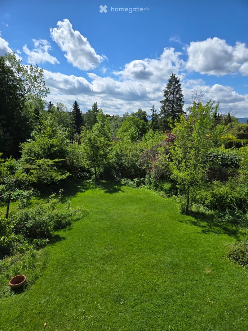 Garden / Outdoor Area. A well-maintained garden with a large, open grassy area surrounded by dense greenery and trees under a partly cloudy sky.