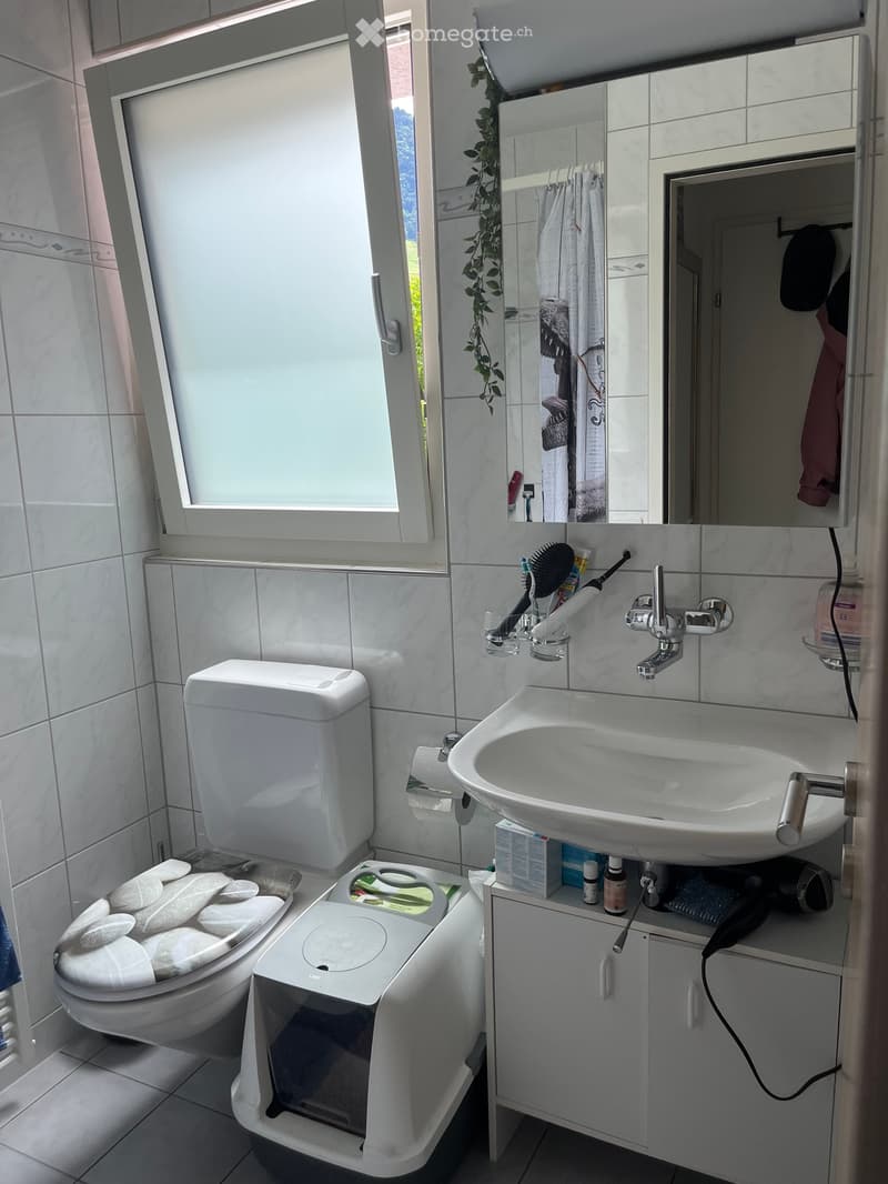 Modern bathroom with white tiles, a toilet, a sink with a mirror, a cabinet, and a window with frosted glass. The sink has a modern faucet, and there are various toiletries and a hair dryer on the cabinet.