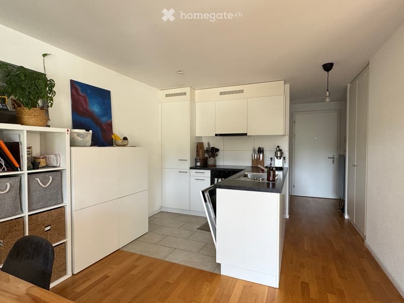 Modern kitchen with white cabinets, black countertop, and wooden flooring. Features a refrigerator, sink, oven, and various kitchen utensils. A potted plant and artwork are displayed on the shelves.