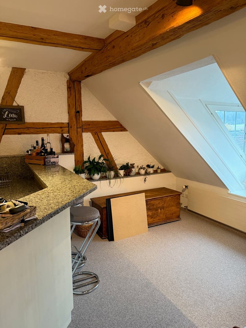 Cozy attic room with exposed wooden beams, skylight window, carpeted floor, small counter with potted plants, wine bottles, and a wooden chest.