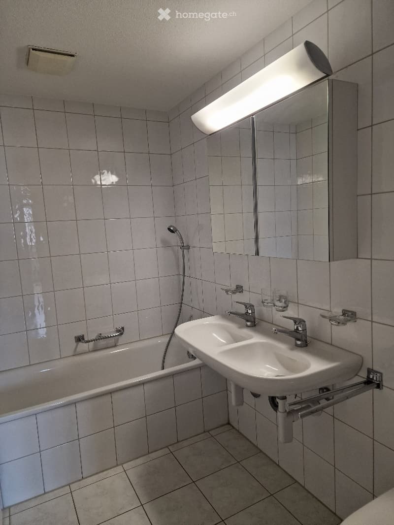Modern bathroom with a double sink, bathtub, and showerhead. Features tiled walls and floor, a large mirror with built-in lighting, and a towel rack.