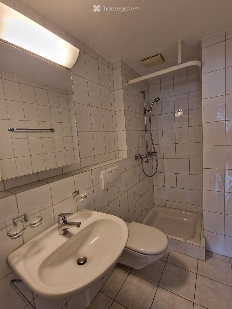 Modern bathroom with white tiled walls and floor, featuring a sink with a chrome faucet, a toilet, a shower with a handheld sprayer, and a mirror with built-in storage shelves.