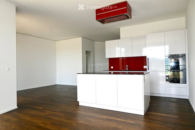 Modern kitchen with white cabinets, dark wooden floor, red backsplash, and stainless steel appliances.