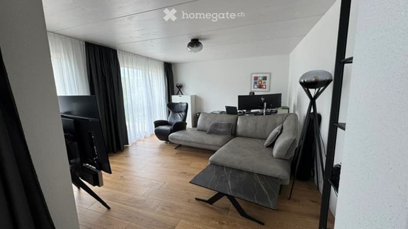 Modern living room with light wooden flooring, large windows with white curtains, grey sectional sofa, black armchair, coffee table, TV, floor lamp, and picture frame on wall.