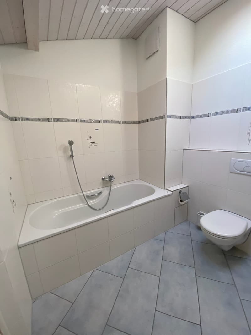 Modern bathroom with a bathtub, toilet, and tiled walls. Features a handheld showerhead and a sleek design.