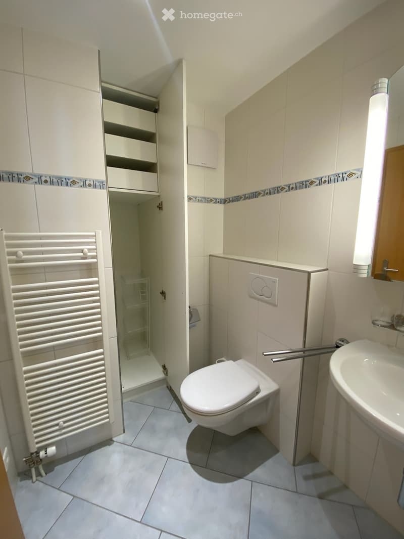 Modern bathroom with white tiles, a toilet, a sink, a radiator, and a mirrored cabinet.