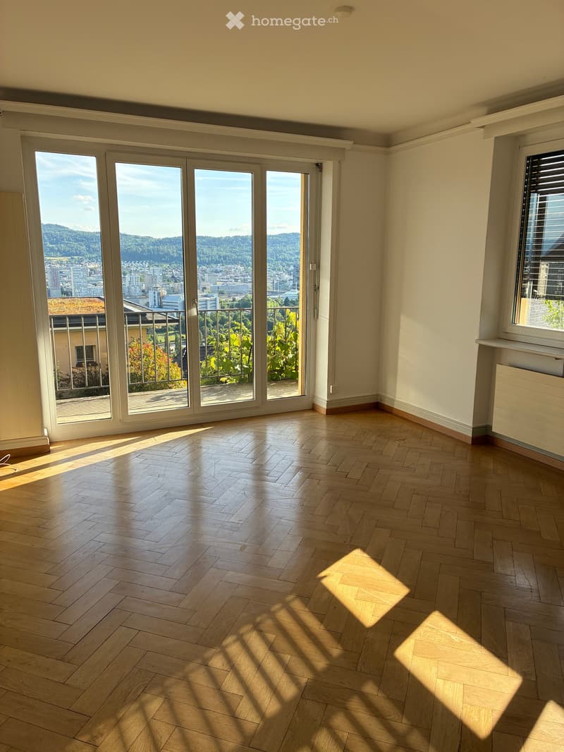 Einliegerwohnung in Zürich (3)