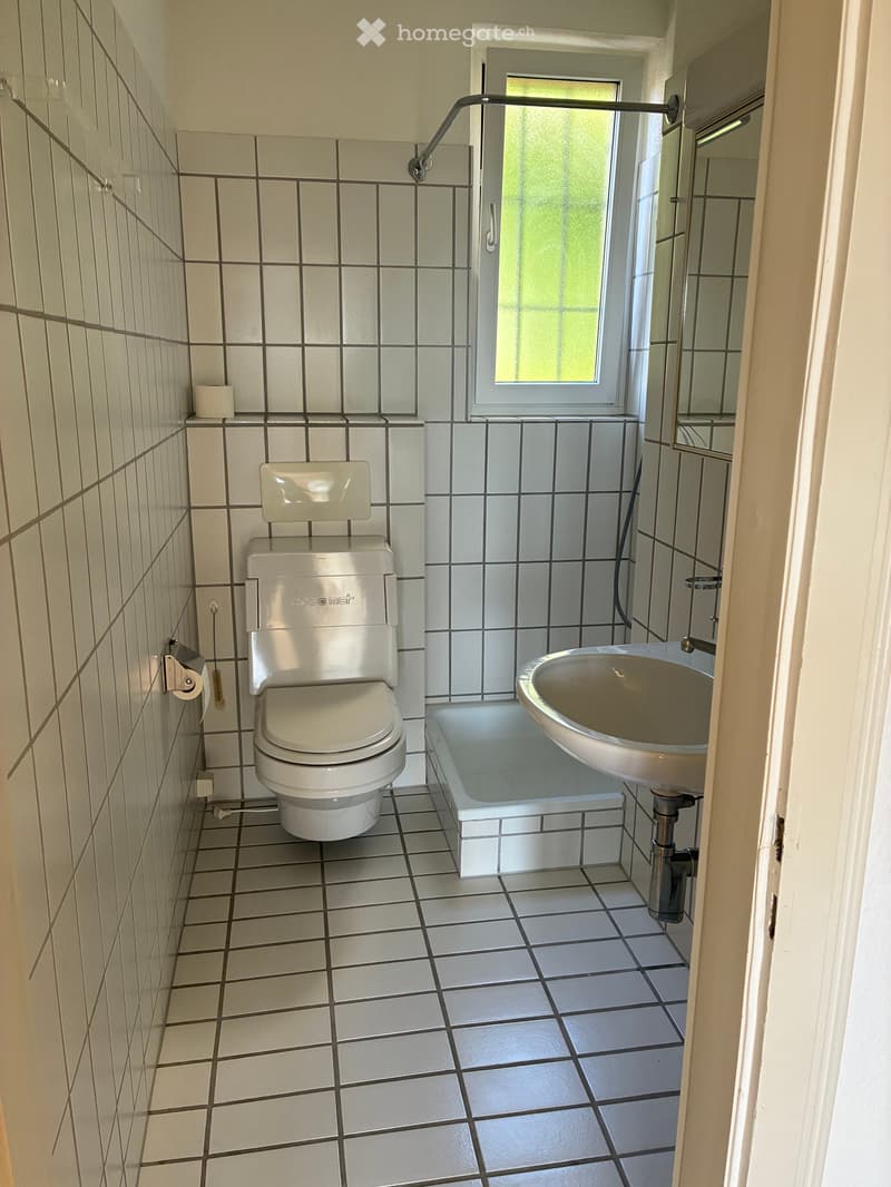 Einliegerwohnung in Zürich (5)