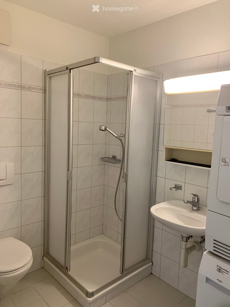 Bathroom: walk-in shower, sink, toilet, washing machine