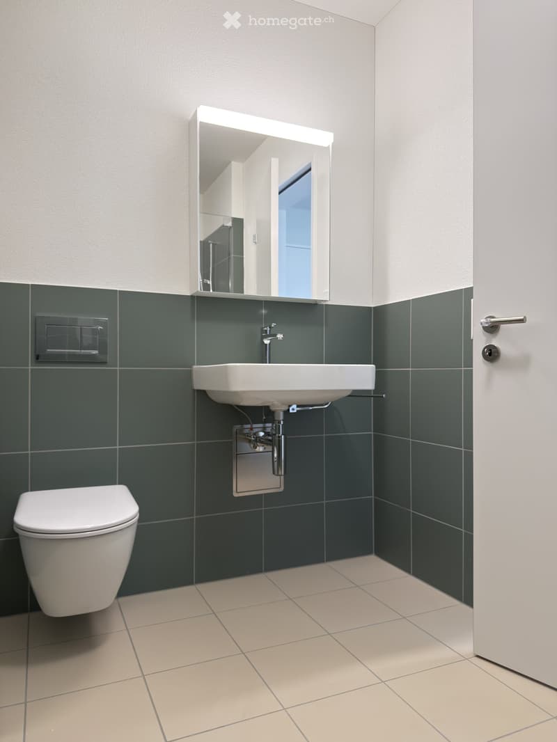 white sink, white toilet, green tiles, white ceiling, silver mirror, white door