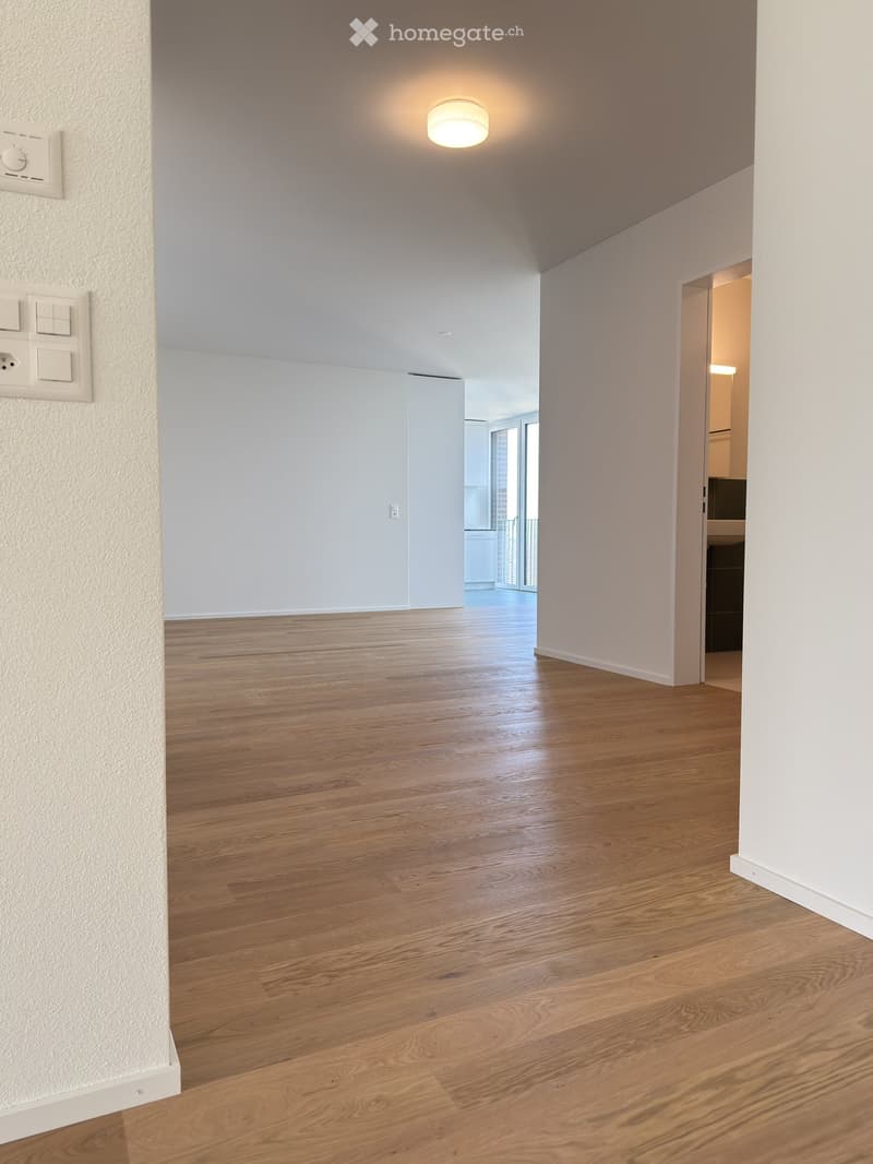 Empty hallway with light wooden flooring and white walls, featuring a ceiling light and electrical outlets.