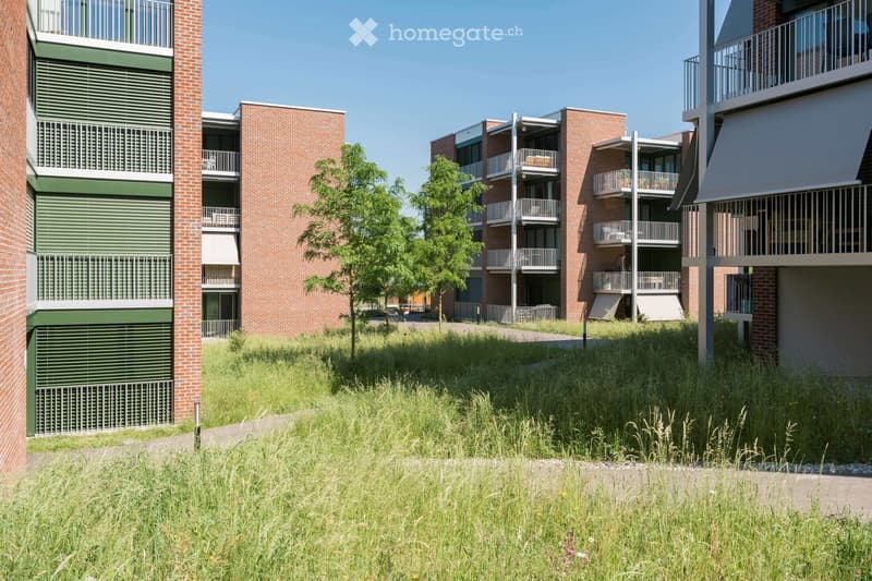 Modern multi-story apartment building with brick facades, green shutters, and multiple balconies. The foreground shows a grassy area with a tree and pathway.