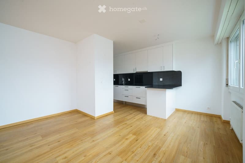 Modern kitchen with white cabinets, black countertop, and wooden flooring.
