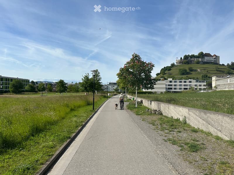 A paved pathway lined with grass and trees, with a person walking a dog. In the background, there are modern buildings and a hill with a castle-like structure.
