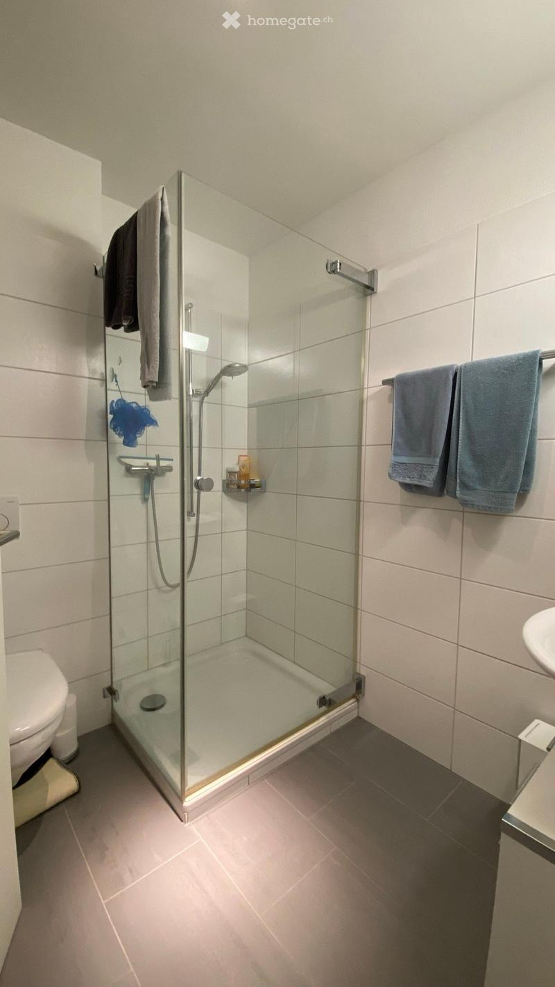 Modern bathroom with a glass-enclosed shower, white tiles, and towels on the walls.